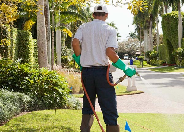 About Fort Scott KS Pest Control